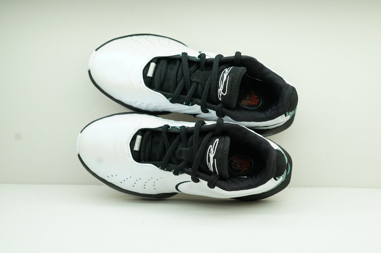 LEBRON XXI