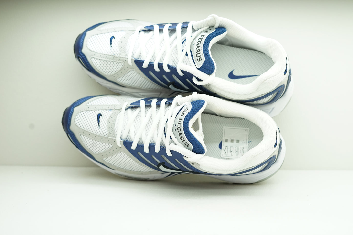 NIKE AIR PEGASUS 2005