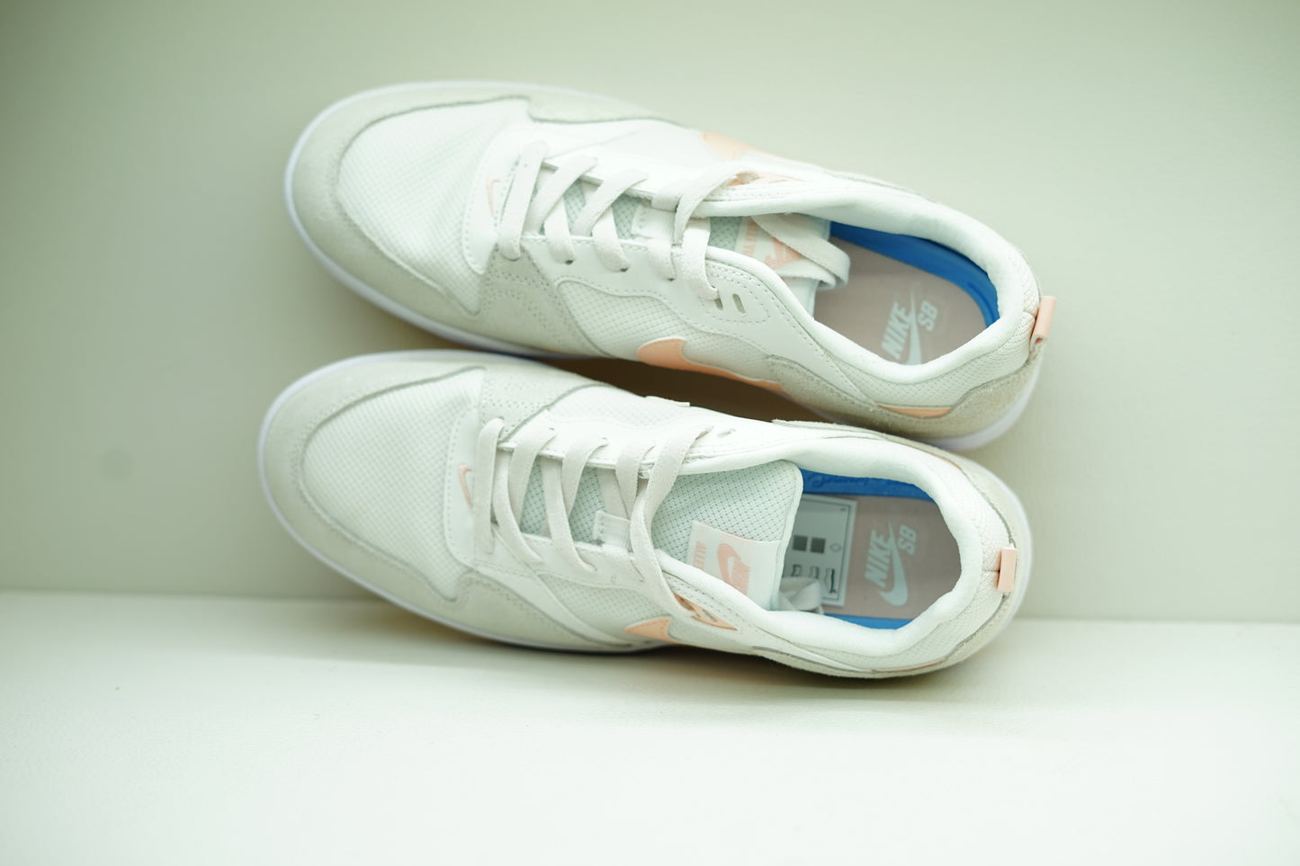 NIKE SB ALLEYOOP SUMMIT