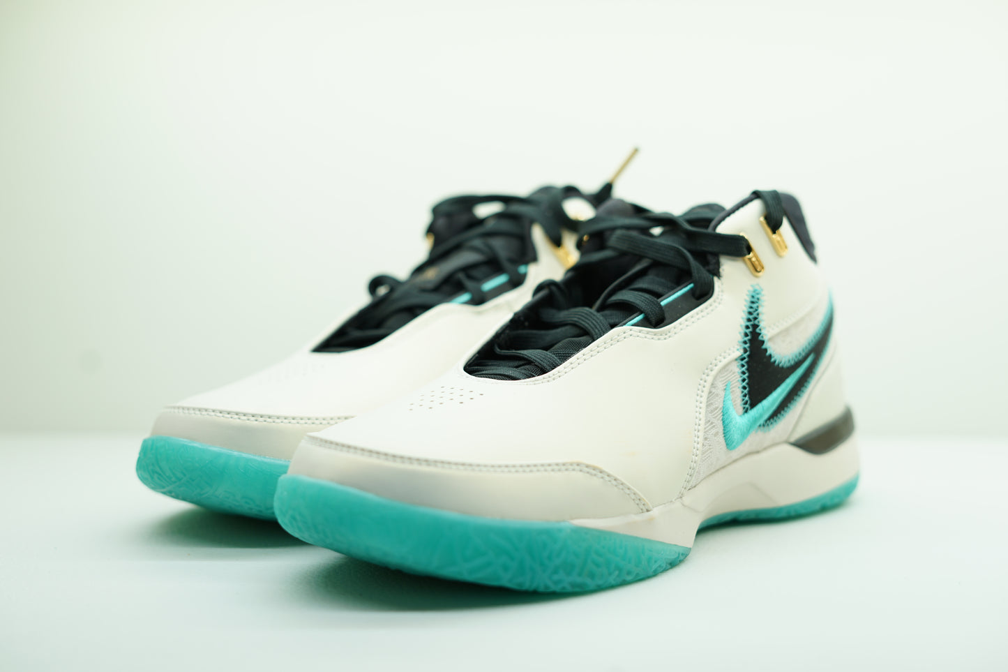 LEBRON NXXT GEN AMPD