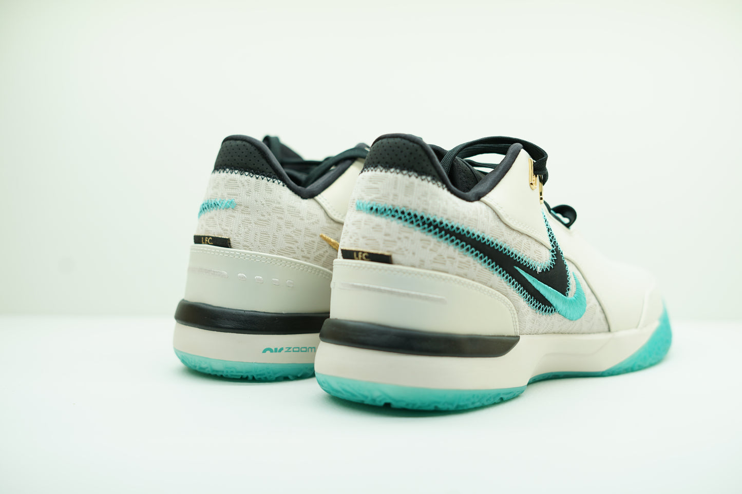 LEBRON NXXT GEN AMPD