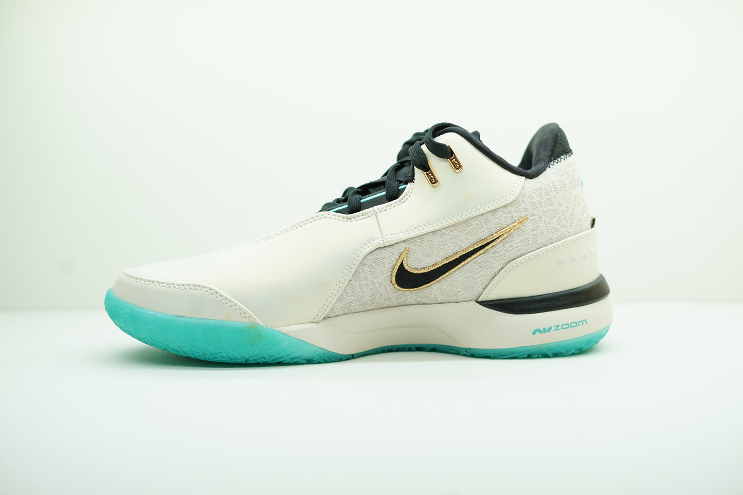 LEBRON NXXT GEN AMPD