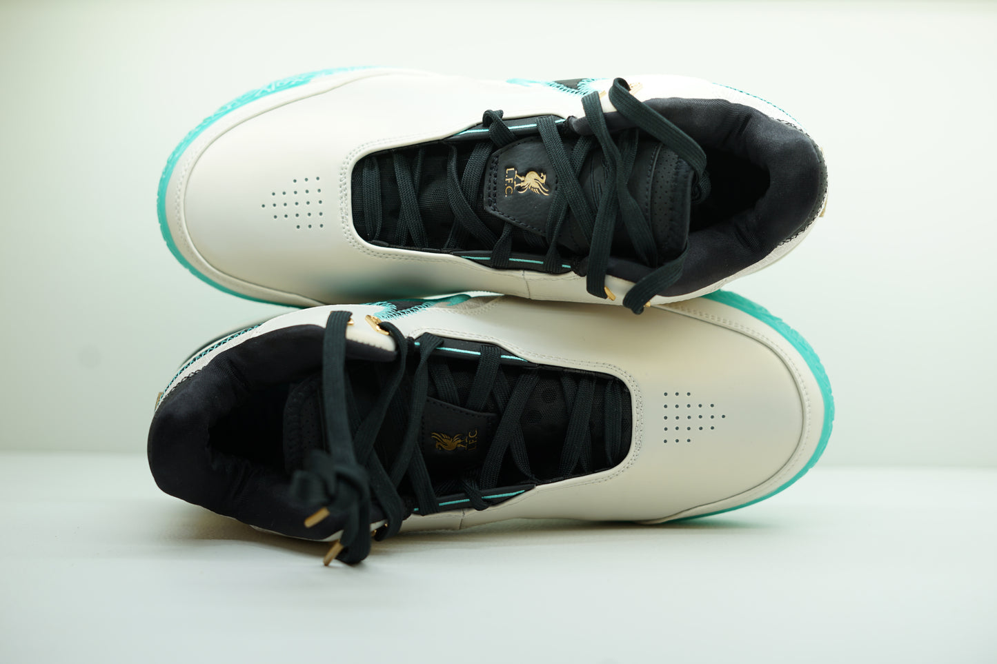 LEBRON NXXT GEN AMPD