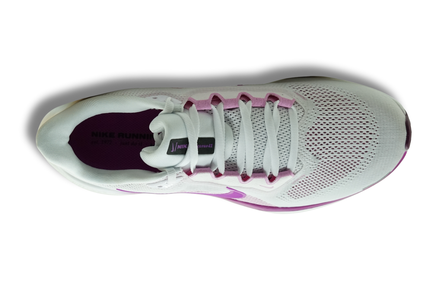 AIR ZOOM PEGASUS 41