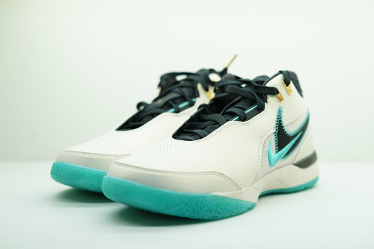 LEBRON NXXT GEN AMPD