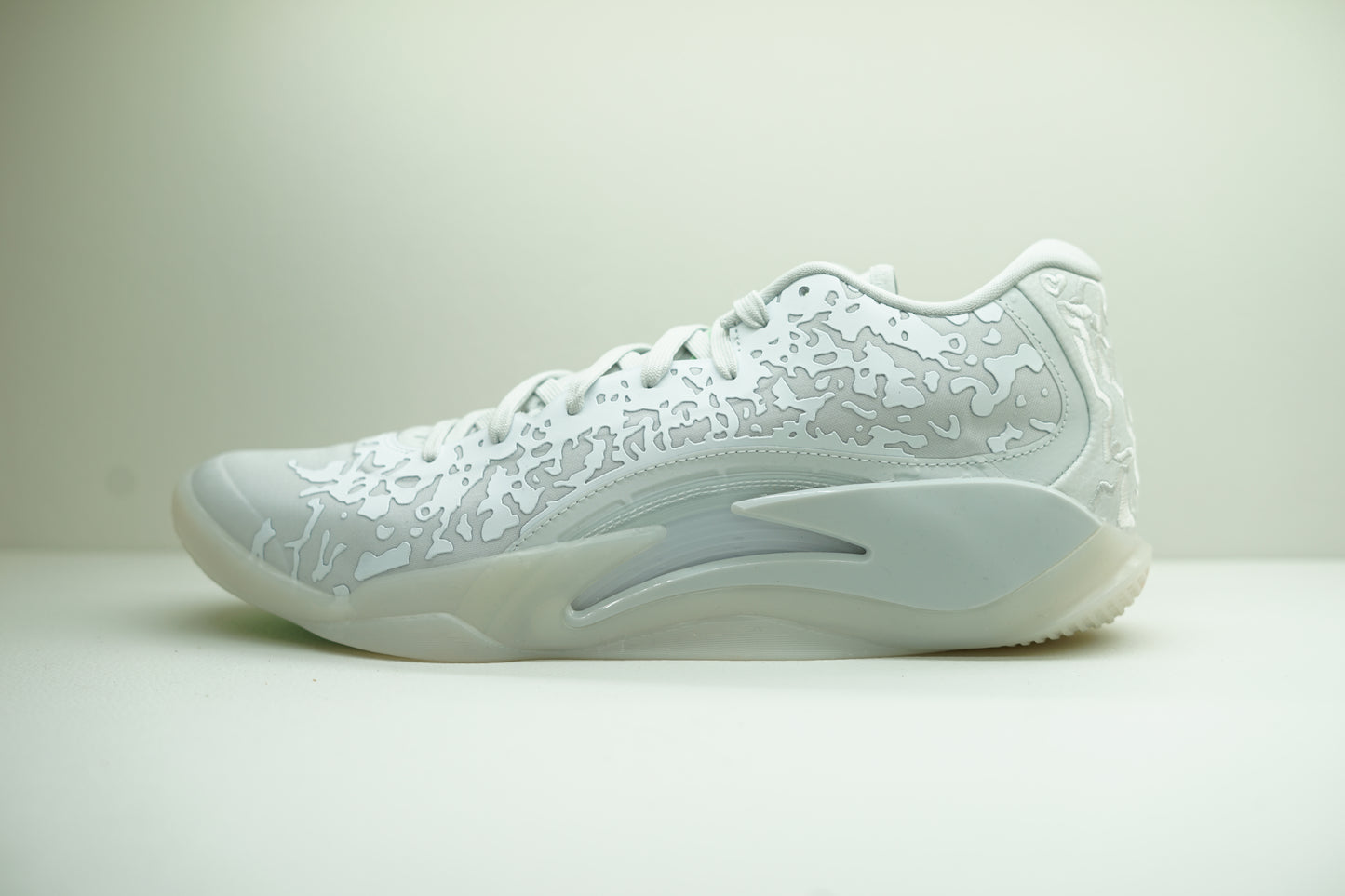 JORDAN ZION 3