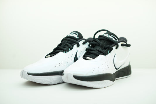 LEBRON XXI